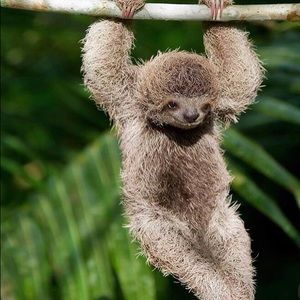 Meet your Posher, Rose